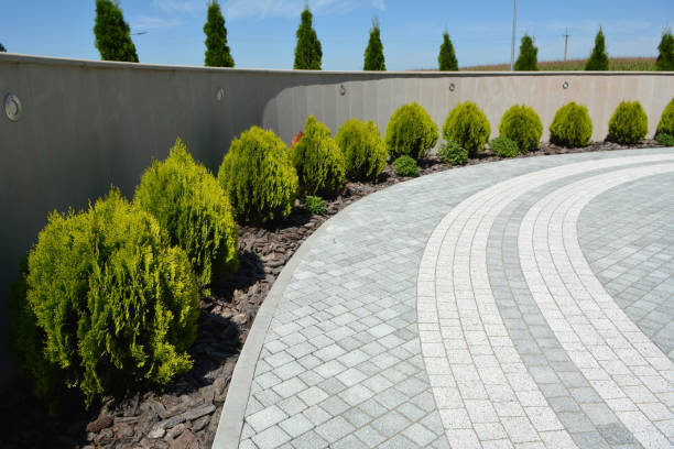 Best Professional Driveway Pavers  in Walterboro, SC