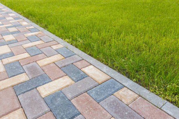 Best Driveway Paving Contractor  in Walterboro, SC